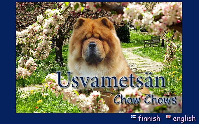 Usvamets&auml;n kennelin etusivu